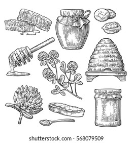 Honey set. Jar, hive, clover, spoon, cracker, bread and honeycomb. Vector vintage black engraved illustration. Isolated on white background.