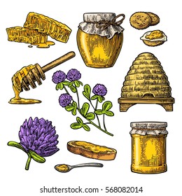 Honey set. Jar, hive, clover, spoon, cracker, bread and honeycomb. Vector vintage color engraved illustration. Isolated on white background.