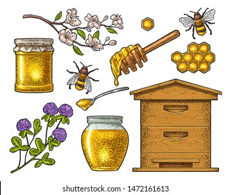 Honey set. Jars, bee, hive, spoon, honeycomb, clover, cherry branch and honeycomb. Vector vintage color engraving illustration. Isolated on white background