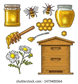 Honey set. Jars, bee, hive, spoon, honeycomb and honeycomb. Vector vintage color engraving illustration. Isolated on white background