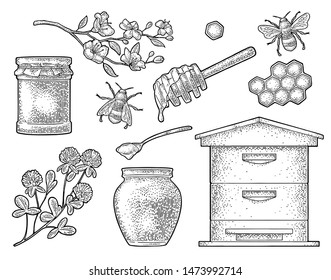 Honey set. Jars, bee, hive, spoon, honeycomb, cherry branch and honeycomb. Vector vintage black engraving illustration. Isolated on white background