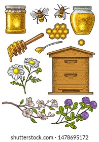 Honey set. Jars, bee, hive, spoon, honeycomb, clover, cherry branch and honeycomb. Vector vintage color engraving illustration. Isolated on white background