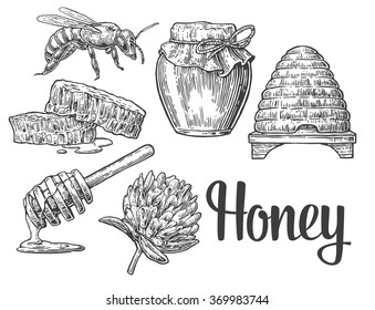 Honey set. Jars, bee, hive, clover, honeycomb. Engraving vintage vector black illustration. Isolated on white background. Hand drawn design element for label and poster