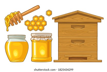 Honey set. Jars, hive and honeycomb. Vector color illustration. Isolated on white background