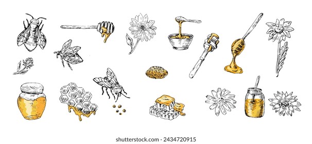 Conjunto de miel de abeja de boceto, cuchara, tarro, flores con colores amarillos. La ilustración vectorial se puede utilizar para envolver papel, textil, etiqueta de alimentos, impresión para productos de miel orgánica. 