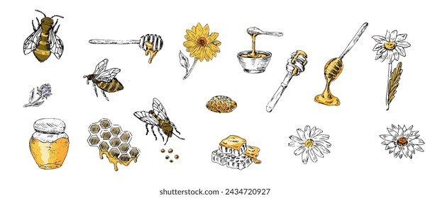 Conjunto de miel de abeja de boceto, cuchara, tarro, panal de abeja con colores amarillos. La ilustración vectorial se puede utilizar para envolver papel, textil, etiqueta de alimentos, impresión para productos de miel orgánica. 