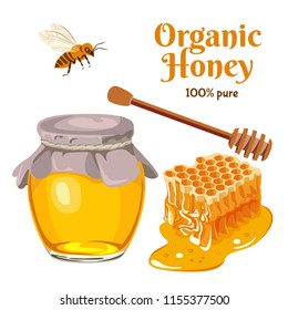 Honey set. Vector illustration in flat style. Bee, honeycomb, wooden honey dipper, glass jar full of honey. Organic and natural product.