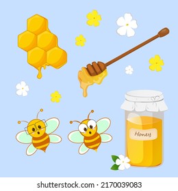 Honey set. Vector illustration in flat style. Bee, honeycomb, wooden honey dipper, glass jar full of honey. Organic and natural product.
