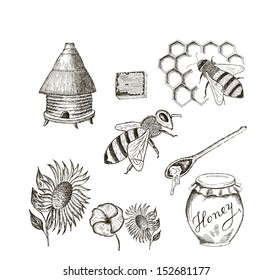 honey. set of vector sketches