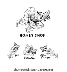 Honey shop hand drawn logo vector illustration set. Bee and flowers ink lettering. Amaryllis sketch drawing. Pollination creative calligraphy. Packaging, sticker concept. Isolated design elements