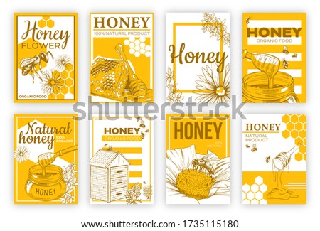 Honey sketch flat poster set. Design of flyers with bees, honeycomb isolated vector illustration collection. Organic food and natural product concept