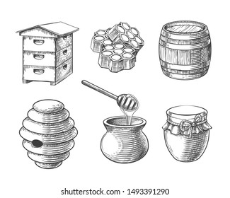 Honey sketch vector elements. Hand drawn honeycomb sweets and jar, vintage barrel for beeswax and honeypot, beehives for domestic and wild bees in engraving style