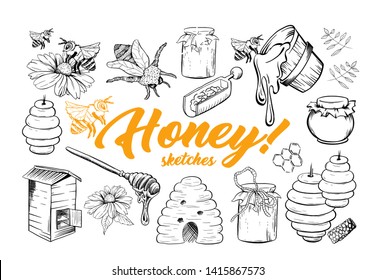 Honey Sketches Set, Bee Hive, Honey Jar, Barrel, Pot, Spoon and Flower Hand Drawn Organic Products for Logo. Black Outline Engraving Elements. Vintage Isolated Vector Illustration