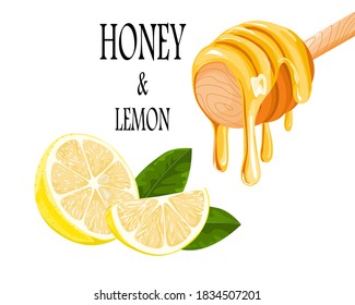 honey and sliced lemon with lemon leaves isolate on white background, vector illustration