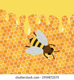 Honey splash dripping sweet drops from bee honeycomb poster for beekeeping honey shop or bakery.