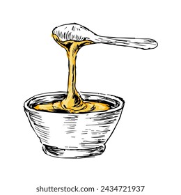 Honey in spoon hand drawn sketch in color. Vector illustration can used for wrapping paper, label, poster, cards. Engraved or ink vector honey illustrations. 