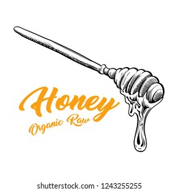 Honey Spoon Sketch with Honey Drop Flow. Hand Drawn Engraved Superfood Organic Products Design, Vector Isolated Illustration. Black Outline Engraving Element. Vintage Illustration