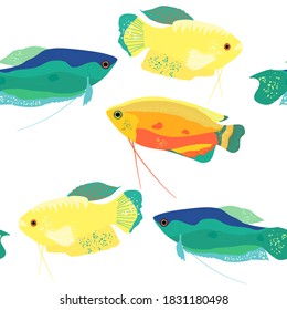 Honey, spotted and moon gourami seamless pattern.Trichogaster labyrinth fish from South Asia. Aquarium inhabitant, underwater world.Vector illustration trendy print for fabric, notebook,pet shop flyer