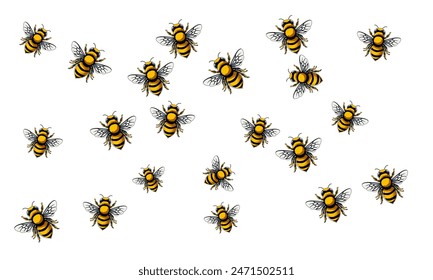 Honey swarm of bee isolated cartoon detail.  Vector illustration of honey bee animal on background.  Vector cartoon  of honey bee