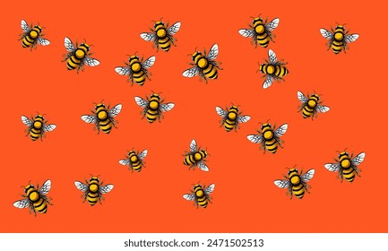 Honey swarm bee isolated cartoon detail.  Vector illustration of honey bee animal on background.  Vector cartoon  of honey bee