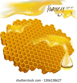honey vector 3d illustration drop splatter