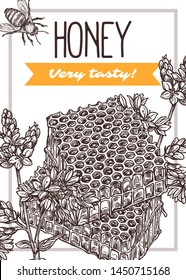 Honey vector hand drawn poster template. Wild flowers and bee black and white sketch. Honeycomb ink pen line art. Homemade eco product advertisement flyer. Natural food packaging design