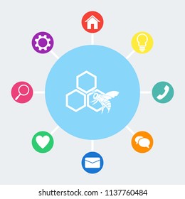 Honey vector icon. Bee on a part of honeycomb. Bonus icons: house, light bulb, phone, speech bubble, email, heart, magnifying glass, settings.
