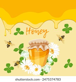 Honey vector illustration. Healthy food illustration. Organic Honey natural. Chamomiles, clover, jar of honey, bees