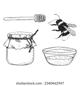 Honey vector illustration set with honey dipper, jar, glass bowl and flyting bee. Sweet natural food line black and white sketches