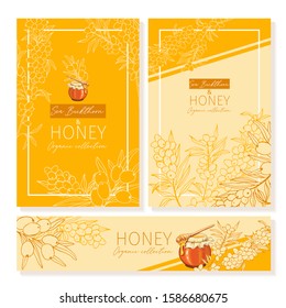 Honey vintage banners design. Engraved sea buckthorn honey flower with glass honey jar and drop. Hand drawn orange logo templates set. Sketch seaberry printable poster for branding or layout design