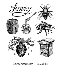 Honey vintage set with bee beehive, glass jar and spoon, barrel, label, lettering, tree branch. Black and white graphic doodle design. Vector illustration.