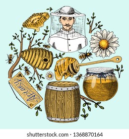 Honey waxing bee and beehive flyer. Poster organic honey and apiary, beehive and chamomile dessert nutrition vector illustration.
