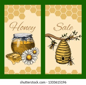 Honey waxing bee and beehive sale flyer. Poster organic honey and apiary, beehive and chamomile dessert nutrition vector illustration.