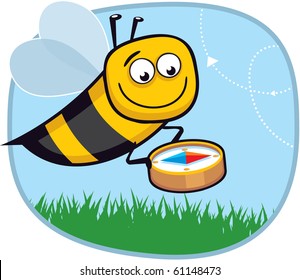 Honeybee with Compass