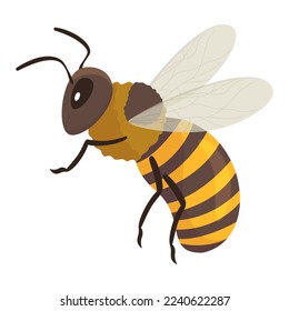 Honeybee flying black yellow striped insect with antennae vector flat illustration. Honey bee winged creature with eyes paws stinger. Buzz bumblebee flora beekeeping character wasp wildlife zoology