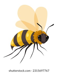 Honeybee insect with wings, isolated icon of bee producing honey or sweet nectar. Apiary and bee garden, beekeeping and apiculture business and production on rustic farm. Vector in flat style