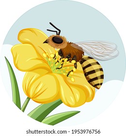 Honeybee on yellow flower on white background illustration