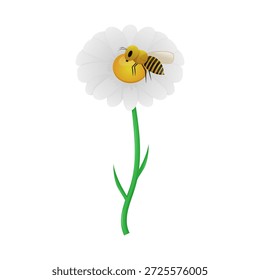 Honigbiene bestäubt eine Kamille (Gänseblümchen). Cartoon-Stil. Konzept der Natur, Bestäubung, Ökologie, Bio-Landwirtschaft, Kräutermedizin. Vektorgrafik einzeln auf weißem Hintergrund.