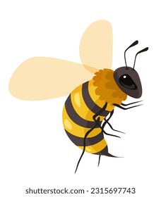 Honeybee portrait or drawing in closeup, isolated bee or wasp with wings and legs. Apiary bee garden culture and industry with producing honey and sweet nectars. Vector in flat style illustration