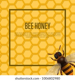 Honeybee poster. Honeycomb and bee insect on advertising poster. Natural honeybee sweet product promotion
