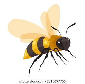 Honeybee produces sweet nectar and honey, isolated apiary, and bee garden dweller. Wasp or queen with wings and legs, beekeeping and apiculture production and business. Vector in flat styles