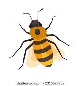 honeybee producing honey, isolated character with wings and tiny legs. Apiary and bee garden dweller, production of sweet nectar and tasty liquid. Insect used in beekeeping. Vector in flat style