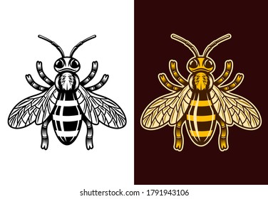 Honeybee two styles black on white and colorful on dark background vector illustration