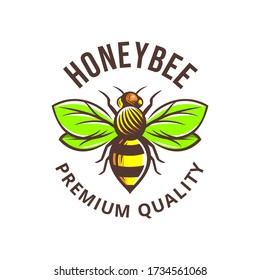 HONEYBEE VECTOR ILLUSTRATIONS PREMIUM QUALITY