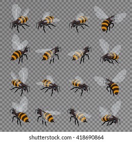 Honeybee vector set. Flat 3d vector isometric illustration. Honey natural healthy food production. Environmentally friendly product. Sweet food made by bees foraging nectar from flowers.