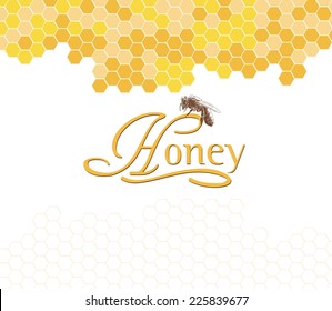 Honeybees on a comb. Hand drawn illustrations