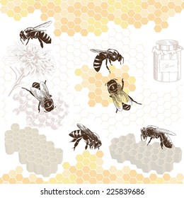 Honeybees on a comb. Hand drawn illustrations