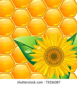 Honeycomb background with sunflowers