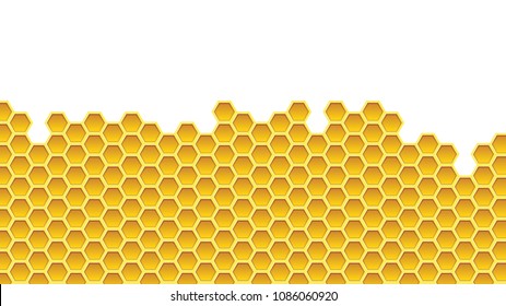 Honeycomb background texture from a bee hive. Vector hexagon pattern.