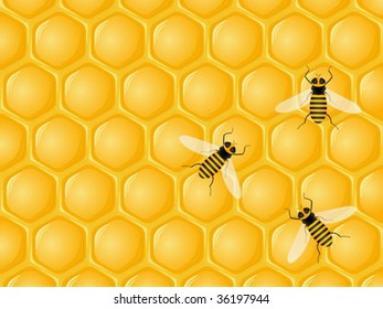 Honeycomb and bee background. Vector illustration.